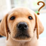 お母さんからの質問…式は書かなくていいんですか?