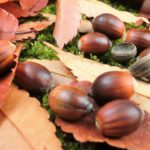 2017.8.13 開催 糸山先生による講演会「確実に思考力養成ができる簡単な理論と手法」