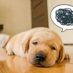 ちゃんと間違えるって?