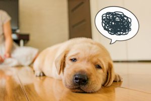 ちゃんと間違えるって?