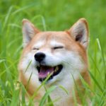 笑顔はやっぱり大切