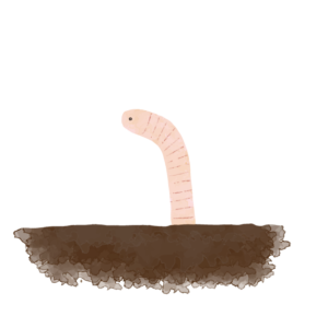 「描いた絵が結局無駄になるから描きたくない」と子どもが言うんです