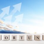 どんぐり問題の進化を促す壁