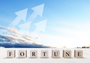 どんぐり問題の進化を促す壁