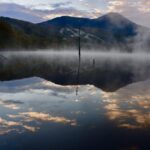 私はゆっくりが嫌いだった