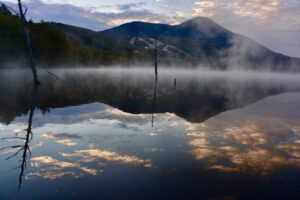 私はゆっくりが嫌いだった