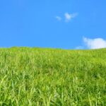 どんぐり問題　0MX15 の物語