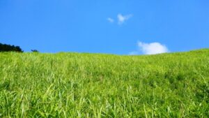 どんぐり問題 0MX15 の物語