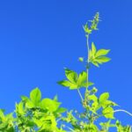 良質の算数文章問題の良質とは