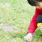 ほっとカフェ☆今回のテーマ「暮らしのどんぐり」