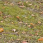 ほっとカフェ☆｜考える子を育てる親に必要なこと